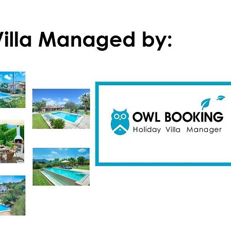 Owl Booking Villa Volanti - 5 Min Walk To The Old Town Pollenca Exterior photo